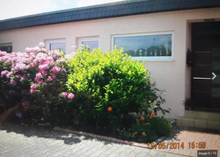 Frankfurter Ruft Rodgau